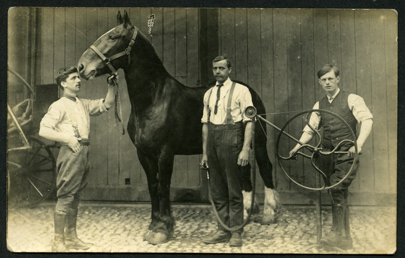 Horse clipping, Burman clipper