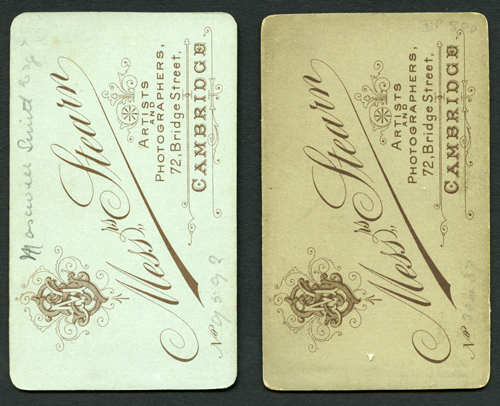 Reverse of two cartes de visite, Stearn