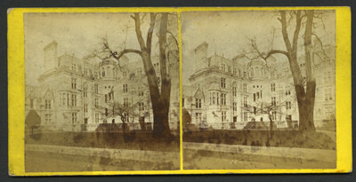 Stereo Pair by Thomas Stearn