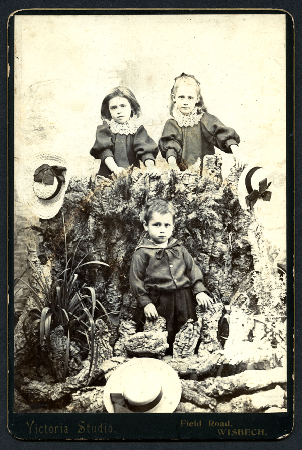 Victoria Studio Cabinet photo of three unknown children